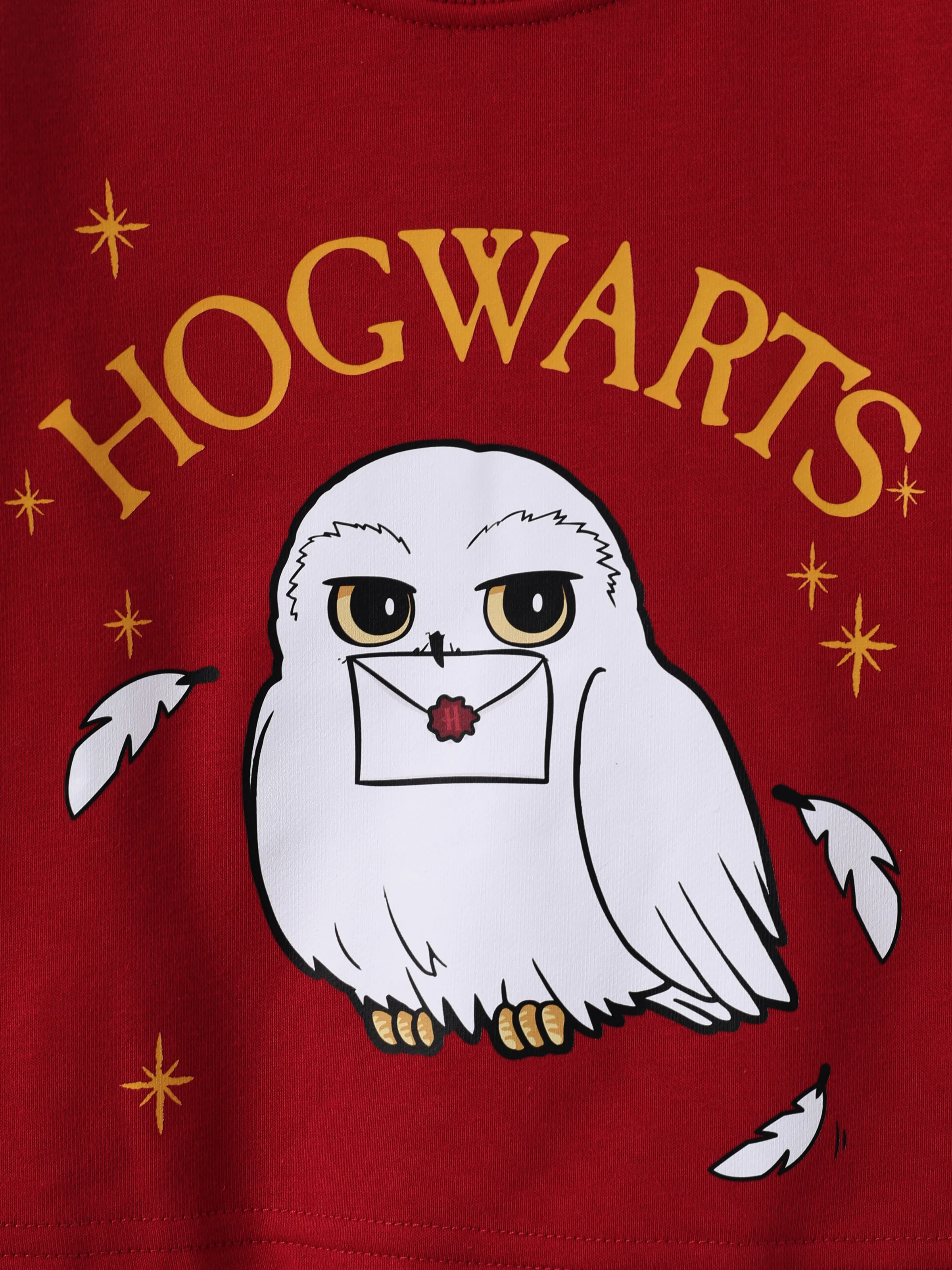 Harry Potter Kid Girl 2pcs Owl Print Long-sleeve Sweatshirt And Bow tie Plaid Skirt Set Red - Image 6