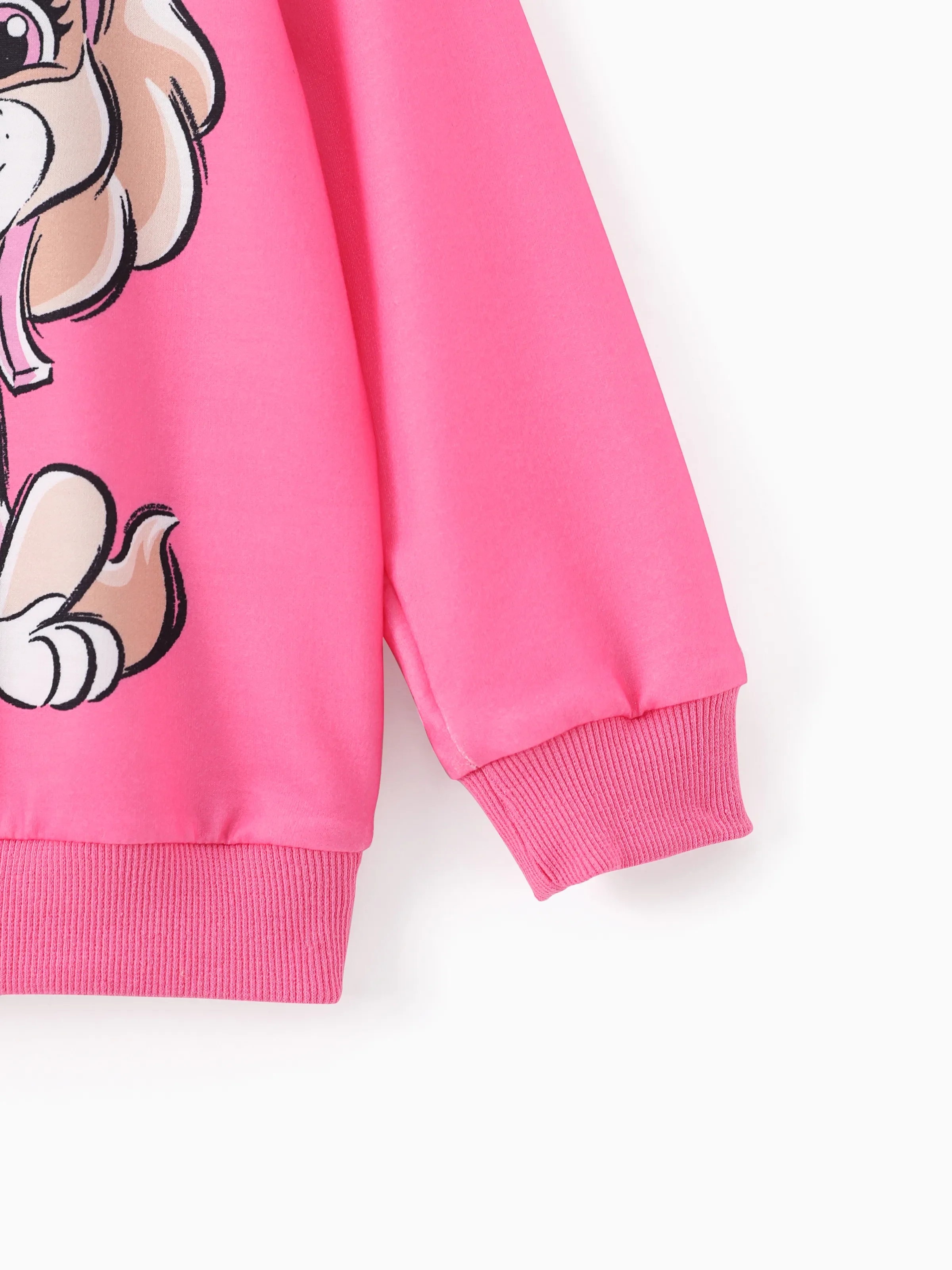 PAW Patrol Toddler Girl Skye Character Print Sweatshirt Roseo - Image 4