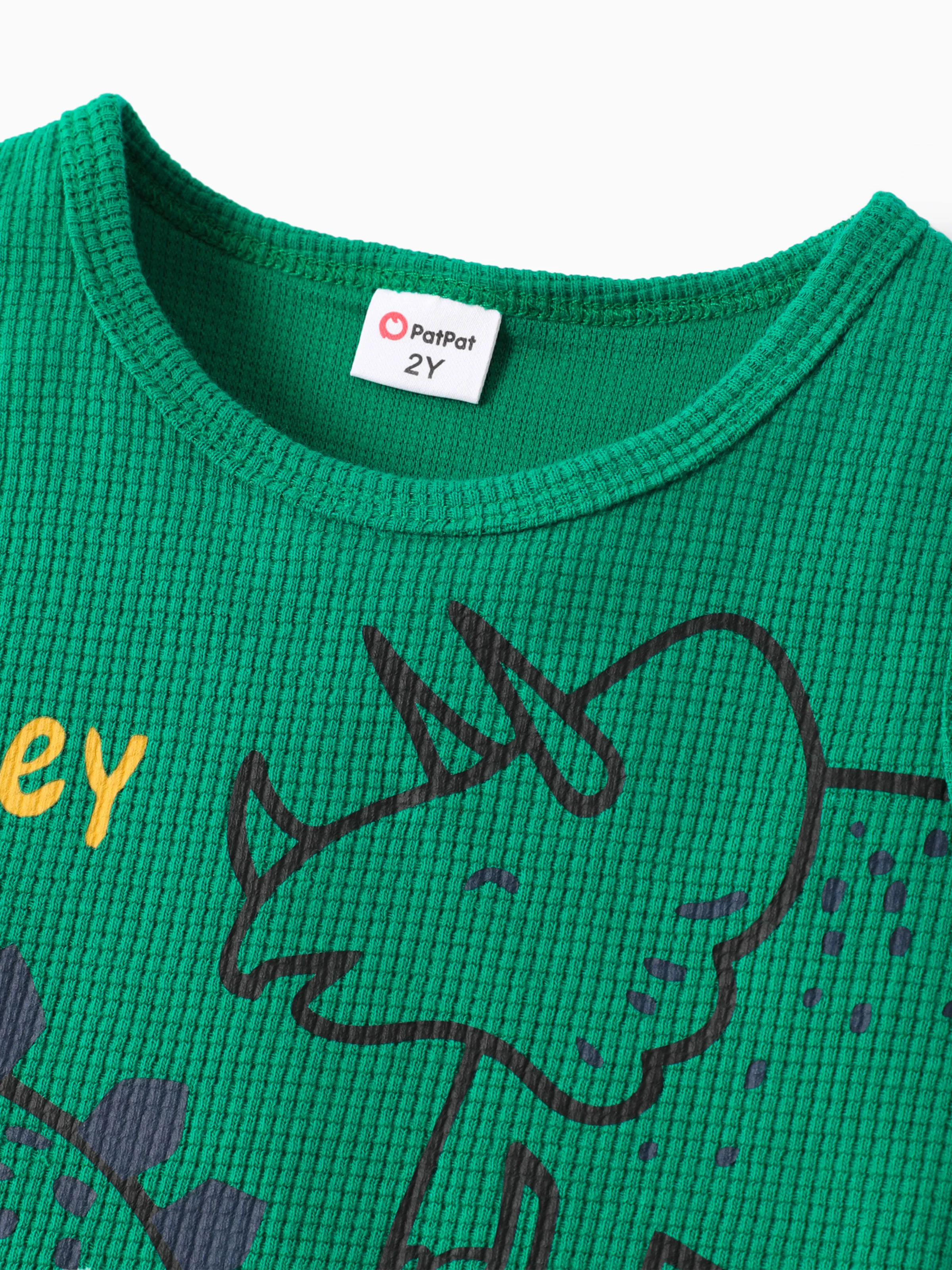Toddler Boy 2pcs Dino Print Tank Top and Shorts Set Green - Image 9